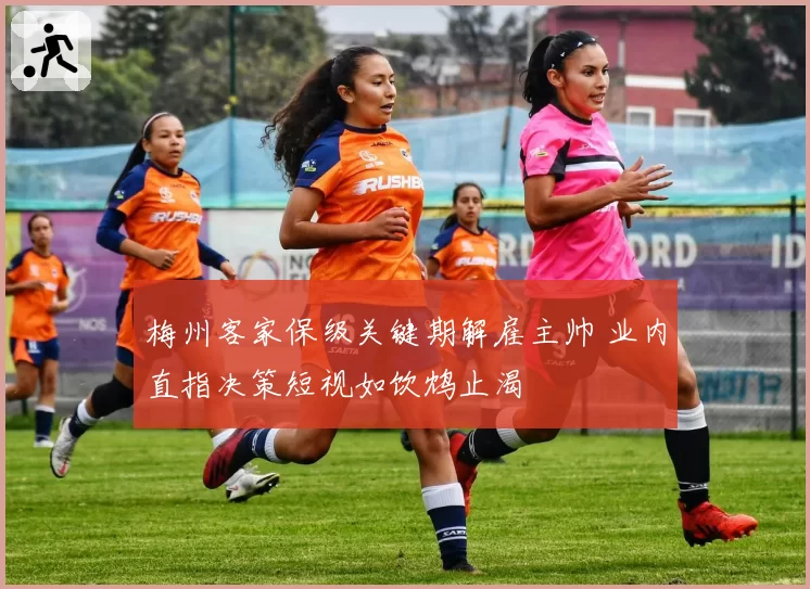 梅州客家保级关键期解雇主帅 业内直指决策短视如饮鸩止渴